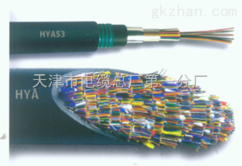 市话电缆ZRC-HYA53 (3)